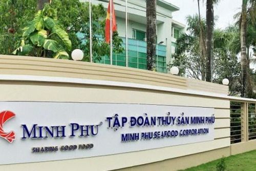 Kết quả kinh doanh ảm đạm, Thủy sản Minh Phú (MPC) dự chi hơn 164 tỷ đồng trả cổ tức