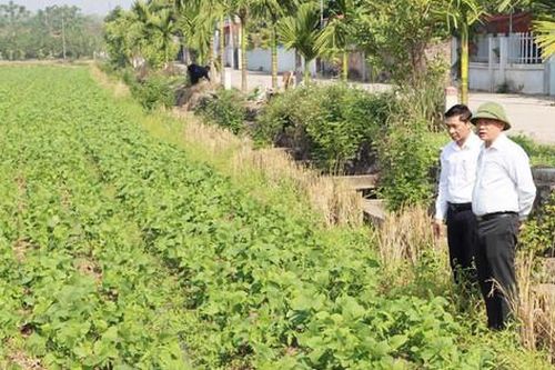 Hiệu quả từ những mô hình nông nghiệp mới ở Phú Xuyên