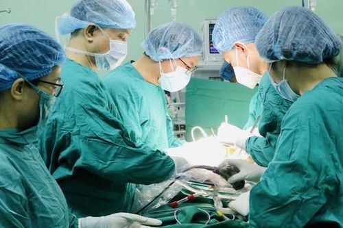 Thái Nguyên tăng cường đào tạo nguồn nhân lực chất lượng cao cho lĩnh vực y tế