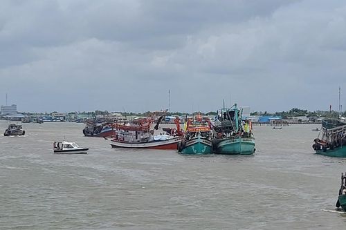 Thủy sản: Mũi nhọn đưa kinh tế biển Cà Mau phát triển