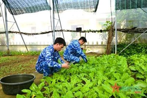 Điểm sáng về tăng gia sản xuất trên vùng đất khó
