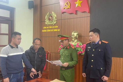 Bắt Giám đốc Công ty Hoàng Hạnh Phương tại Lai Châu