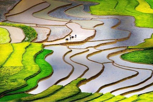 Những điểm đến hấp dẫn ở Mù Cang Chải
