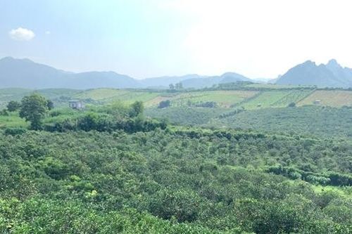 Tăng trưởng xanh là chìa khóa để phát triển bền vững