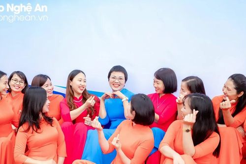Đóa hồng nhung trên đá