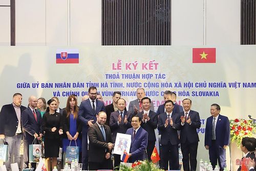 Hà Tĩnh mong muốn Trnava quảng bá, xúc tiến đầu tư đến các doanh nghiệp Slovakia