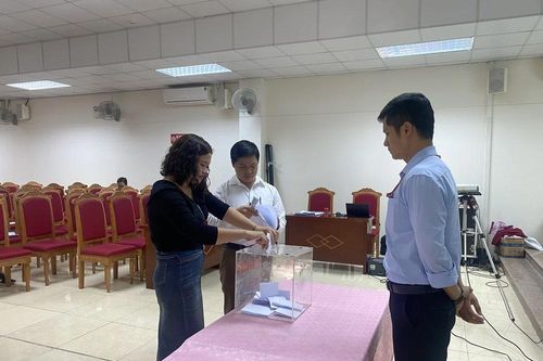 Hà Nội: Đấu giá thành công hàng trăm thửa đất tại Mê Linh, thu hơn 100 tỷ đồng