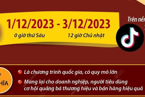 Ngày Mua sắm Trực tuyến Việt Nam - Online Friday 2023