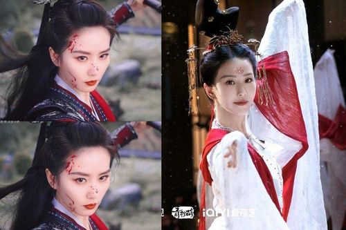 'Nhất niệm quan sơn' mãn nhãn với cảnh võ 10 năm mới gặp lại trên màn ảnh của Lưu Thi Thi