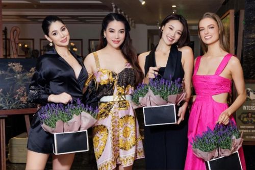 Rộ tin Trương Ngọc Ánh nắm giữ 50% cổ phần cuộc thi quốc tế Miss Earth