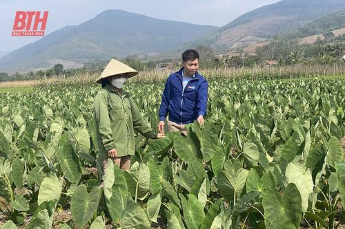 'Cầu nối' đưa nghị quyết của Đảng vào cuộc sống ở Cẩm Thủy