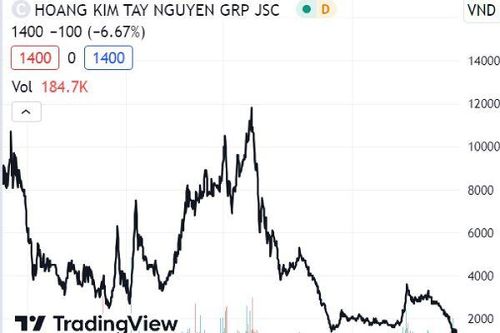 Một cổ phiếu từng tăng giá 300% bị đình chỉ giao dịch