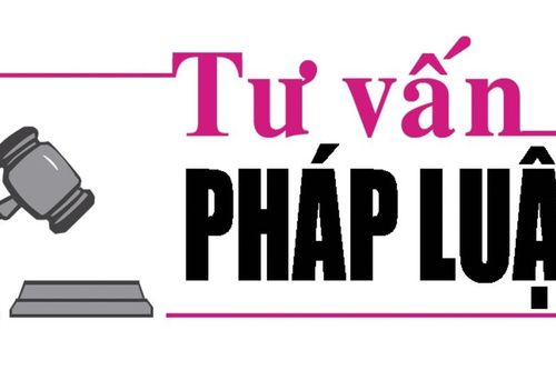 Luật sư Bùi Thanh Vũ tư vấn pháp luật về việc nhận con nuôi