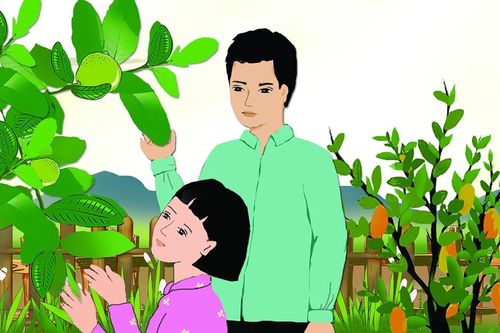 Ánh sáng của vườn
