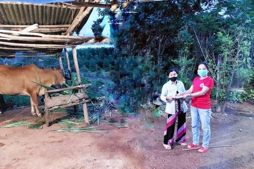 Xã Sông Cầu: Thực hiện đồng bộ các giải pháp giảm nghèo