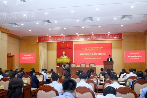 Khai mạc Hội nghị Ban Chấp hành Đảng bộ tỉnh lần thứ 15
