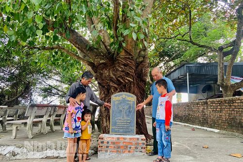 Ngôi đình cổ sở hữu nhiều cây Di sản nhất Ninh Bình