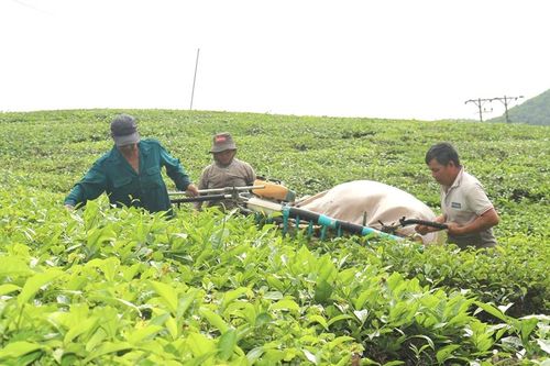 Tân Sơn chủ động nắm bắt, khắc phục khó khăn triển khai Chương trình 1719
