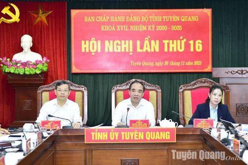 Hội nghị Ban Chấp hành Đảng bộ tỉnh lần thứ 16
