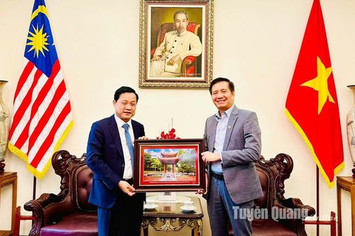 Đoàn công tác của tỉnh thăm và làm việc tại Đại sứ quán và Cơ quan về nông nghiệp chất lượng cao Malaysia