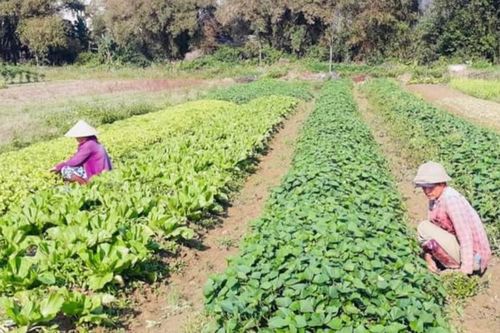 Thay đổi tư duy, cách làm trong phát triển kinh tế