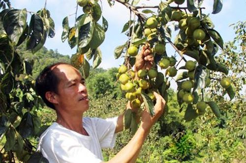 Khởi sắc nông thôn mới huyện Cao Lộc nhìn từ sự thay đổi ngoạn mục ở 'điểm sáng' Gia Cát