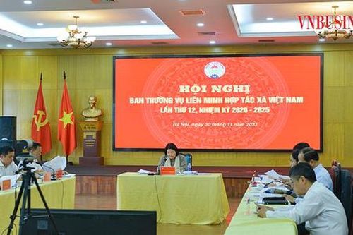 Gợi mở thành lập Liên đoàn HTX để nâng tầm ngành lúa gạo