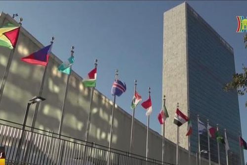 LHQ kỷ niệm ngày quốc tế đoàn kết với nhân dân Palestin