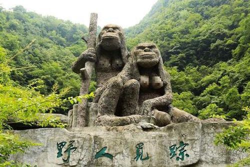 Bí mật sâu trong Shennongjia: Đằng sau khu vực cấm ẩn giấu điều gì?