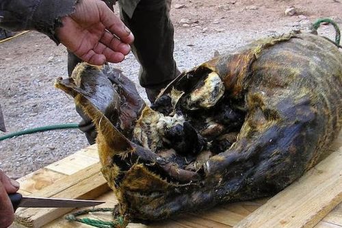 'Món ăn địa ngục' khiến thực khách khó cưỡng