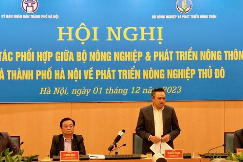 'Phát triển nông thôn thành những thị tứ trong thành phố'