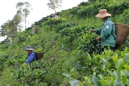 Nghệ An: Giải quyết tình trạng thiếu đất, nhà ở, nước sinh hoạt ở vùng đồng bào DTTSMN là nhiệm vụ quan trọng