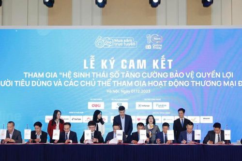 Thương mại điện tử Việt Nam tăng trưởng nhanh Top 10 thế giới