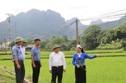 Hòa Bình: Chuẩn hóa đội ngũ cán bộ vùng đồng bào dân tộc thiểu số