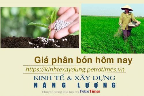 Giá phân bón hôm nay 1/12: NPK Trung Quốc giảm