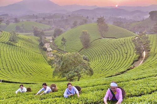 Long Cốc, Phú Thọ - Điểm du lịch trải nghiệm hấp dẫn