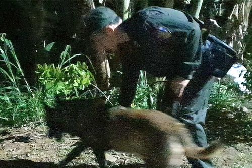 Vụ bé trai 2 tuổi mất tích bí ẩn: Huy động chó nghiệp vụ tìm kiếm