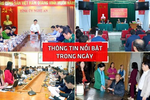 Thông tin nổi bật tại Nghệ An ngày 1/12