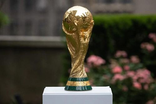 Liên đoàn Bóng đá Thế giới thông báo đã nhận hồ sơ đồng đăng cai World Cup 2030