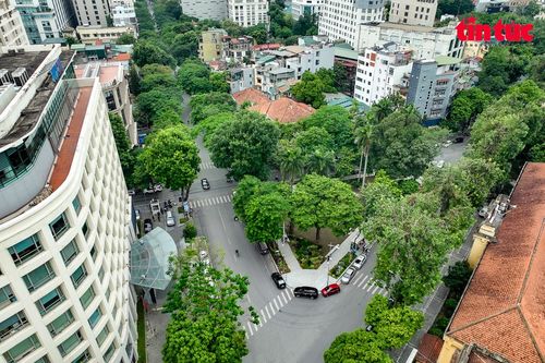 Ngắm vườn hoa Tao Đàn vừa được đầu tư 3 tỷ đồng để cải tạo