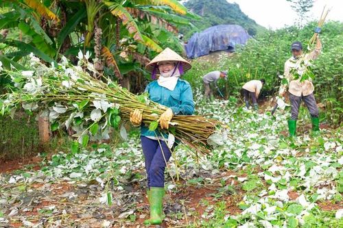 Đồng hành cùng phụ nữ vùng cao tiến về phía trước