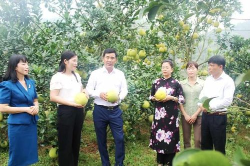 Ứng dụng khoa học kỹ thuật để nâng cao chất lượng sản phẩm, giúp chị em phát triển kinh tế