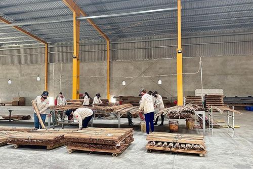 Nâng tầm giá trị tre, luồng trên đất Lang Chánh