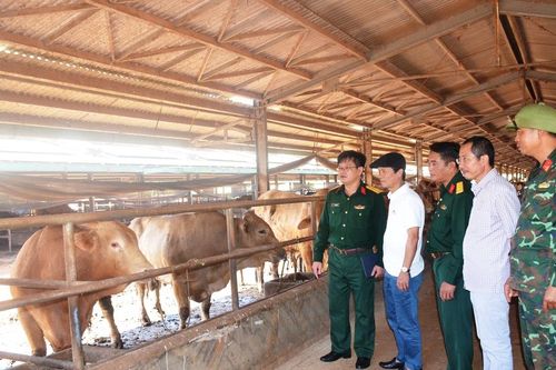 Hội Nhà báo tỉnh Gia Lai tổ chức cho hội viên đi thực tế