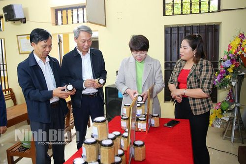 Khảo sát, đánh giá kết quả xây dựng xã nông thôn mới nâng cao, kiểu mẫu tại huyện Gia Viễn