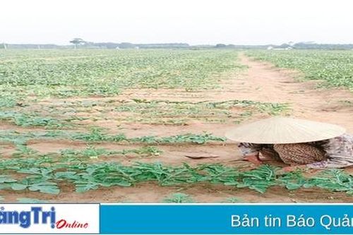 Tăng trưởng xanh để chủ động ứng phó với biến đổi khí hậu