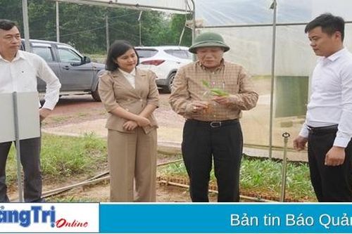 Lãnh đạo UBND tỉnh kiểm tra các mô hình sản xuất nông nghiệp ứng dụng công nghệ cao