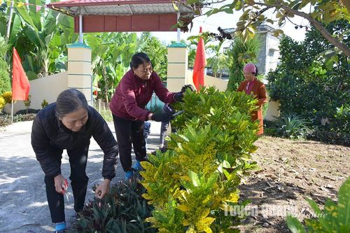 Tuổi cao, gương sáng