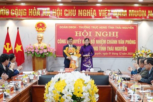Đồng chí Ngô Thành Trung được bổ nhiệm Chánh Văn phòng Đoàn đại biểu Quốc hội và HĐND tỉnh