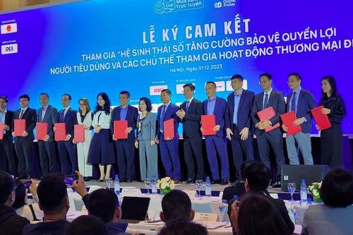 Việt Nam vào top 10 thế giới về tốc độ tăng trưởng thương mại điện tử